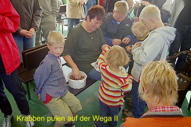 Wega-Krabben-pulen.JPG